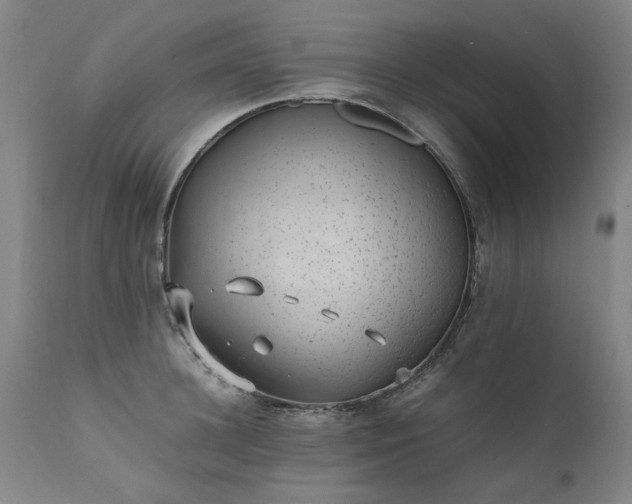 X0000111390948200907171243