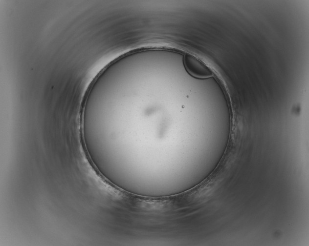 X0000111390951200907171243