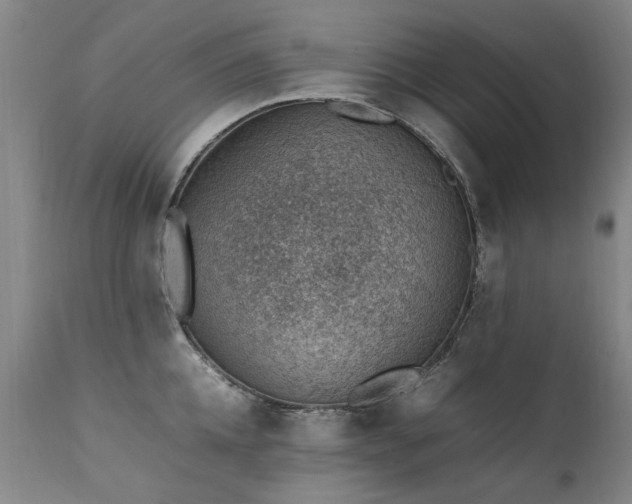 X0000111390952200907171243