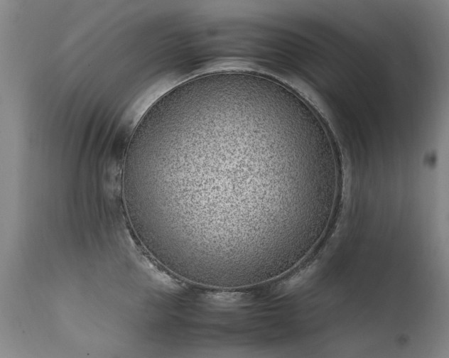 X0000111390953200907171243