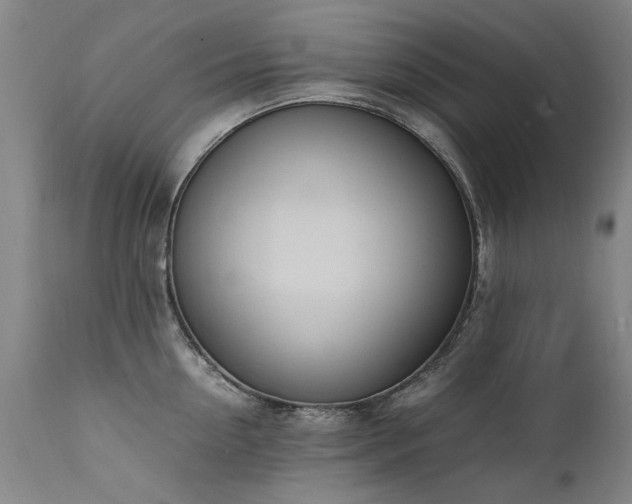 X0000111390954200907171243