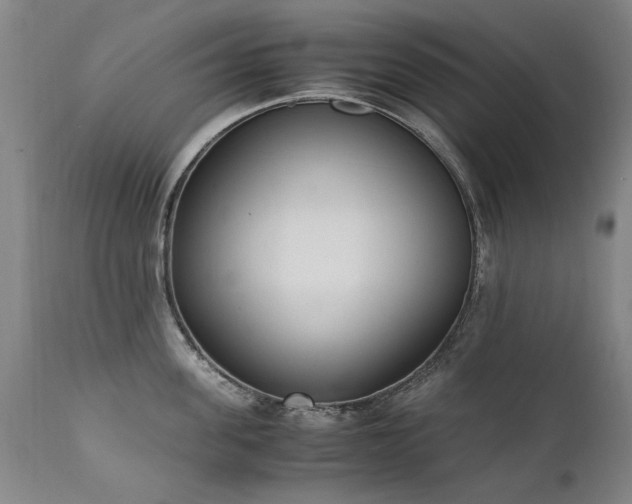 X0000111390955200907171243