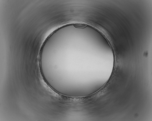 X0000111390958200907171243