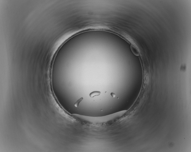 X0000111390959200907171243