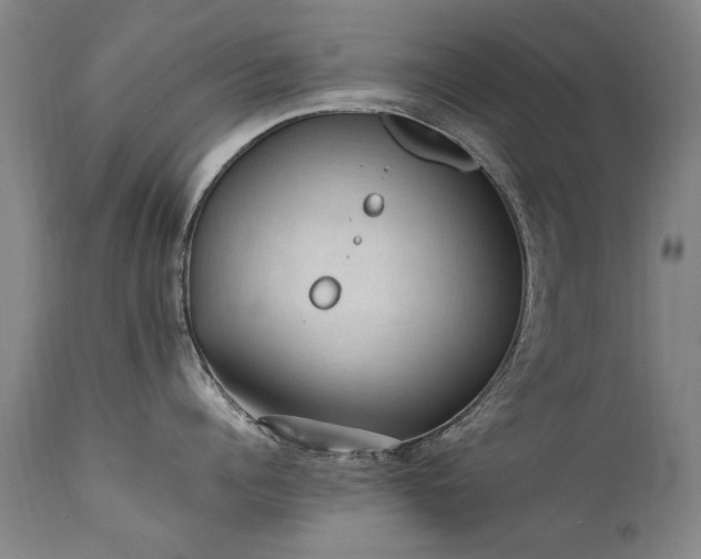 X0000111390960200907171243