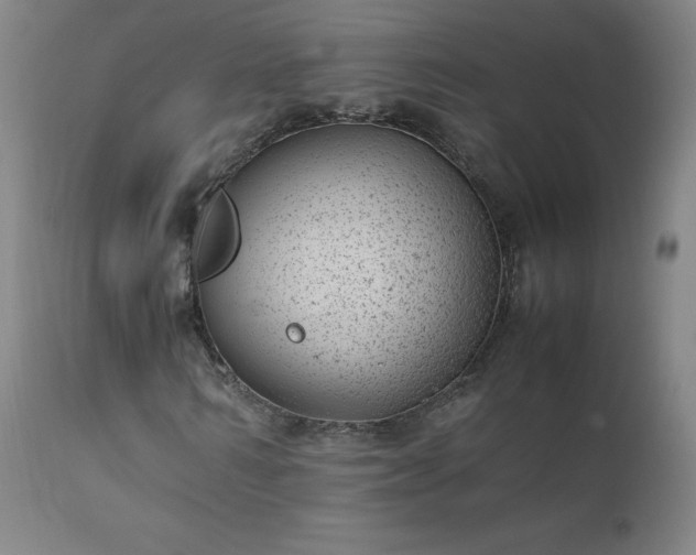 X0000111390962200907171242