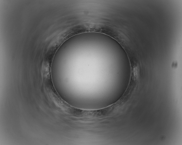 X0000111390963200907171242