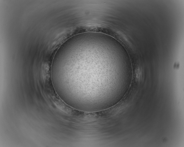 X0000111390964200907171242