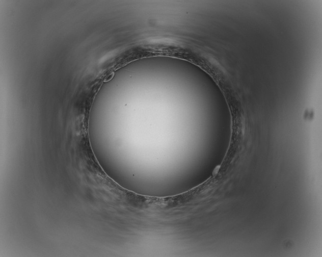 X0000111390965200907171242