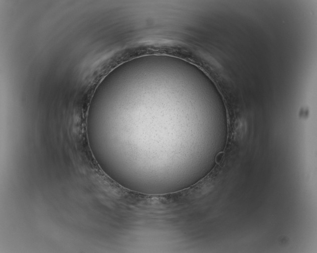 X0000111390966200907171242