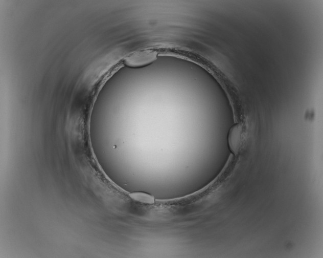 X0000111390969200907171242