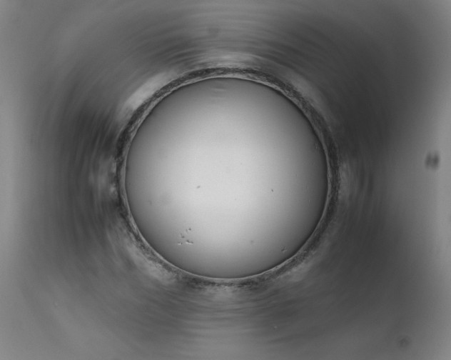 X0000111390970200907171242