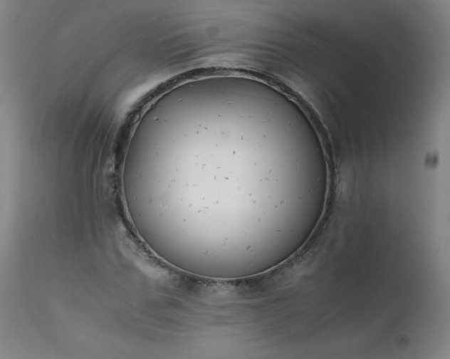 X0000111390971200907171242