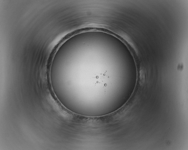 X0000111390972200907171242