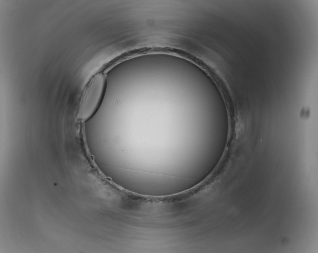 X0000111390973200907171242