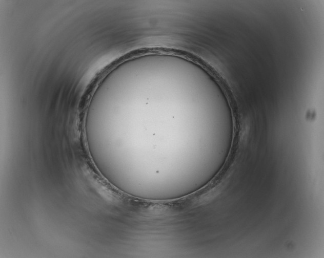 X0000111390974200907171242