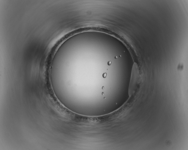 X0000111390975200907171242