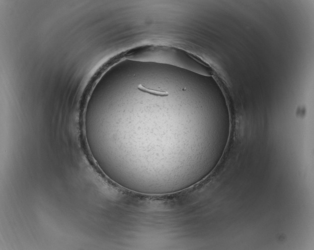 X0000111390976200907171242