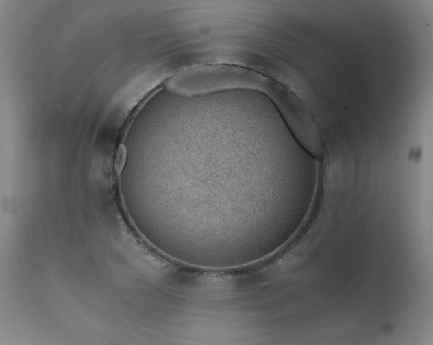 X0000111390977200907171242