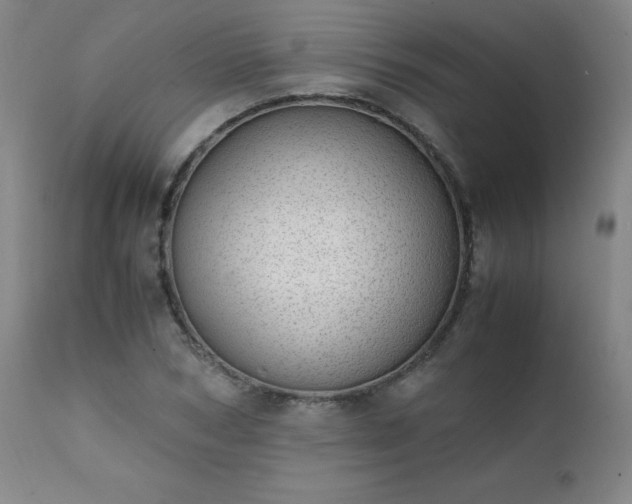 X0000111390978200907171242