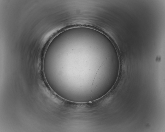 X0000111390979200907171242