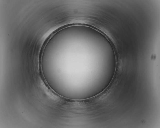 X0000111390980200907171242