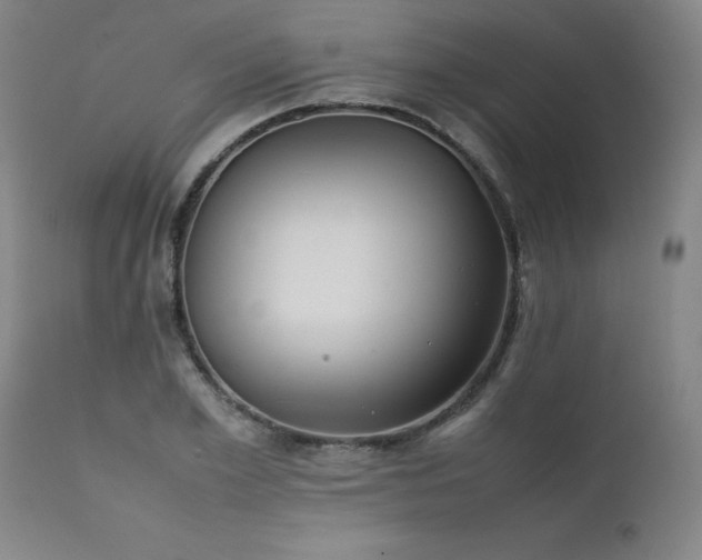 X0000111390981200907171242