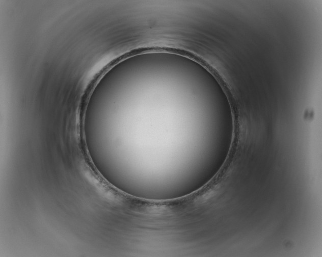 X0000111390982200907171242