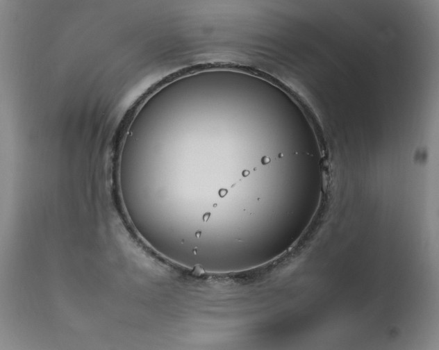 X0000111390983200907171242