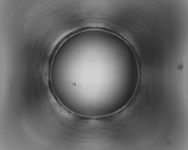 X0000111390984200907171242