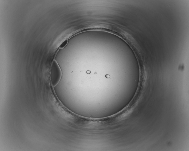 X0000111390985200907171242