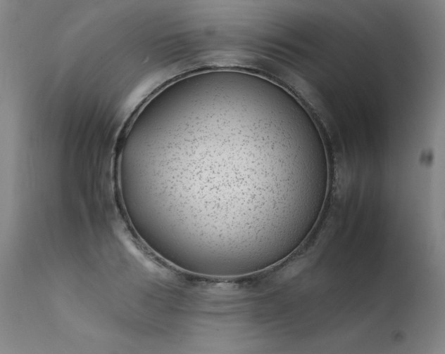 X0000111390986200907171242