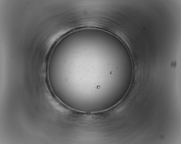 X0000111390987200907171242