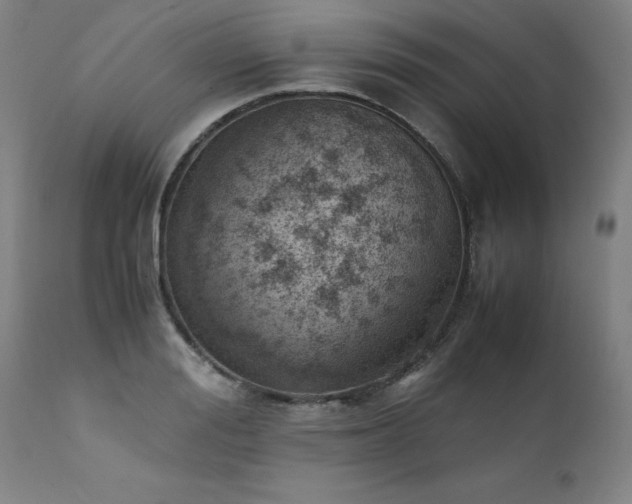 X0000111390988200907171242