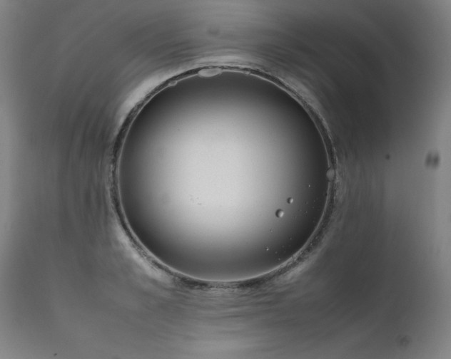 X0000111390989200907171242