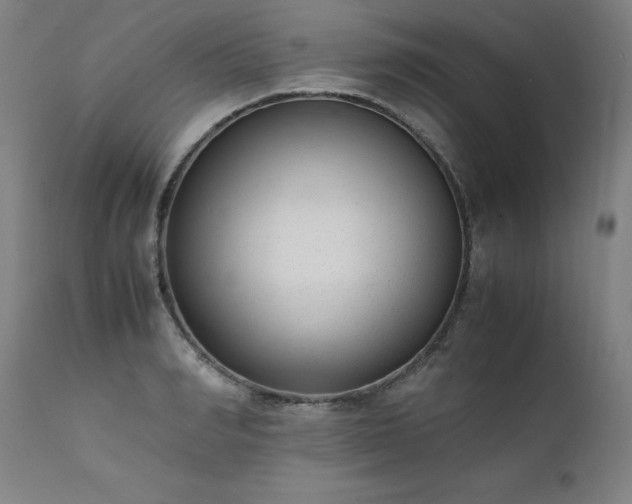 X0000111390990200907171242