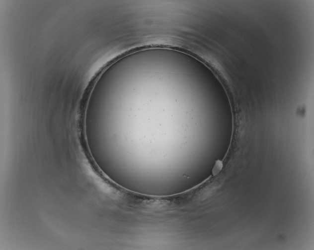 X0000111390991200907171242