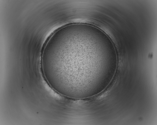 X0000111390992200907171242