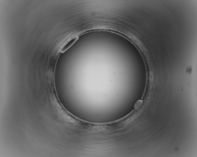 X0000111390993200907171242