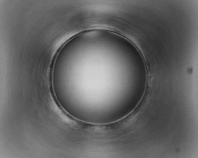 X0000111390995200907171242