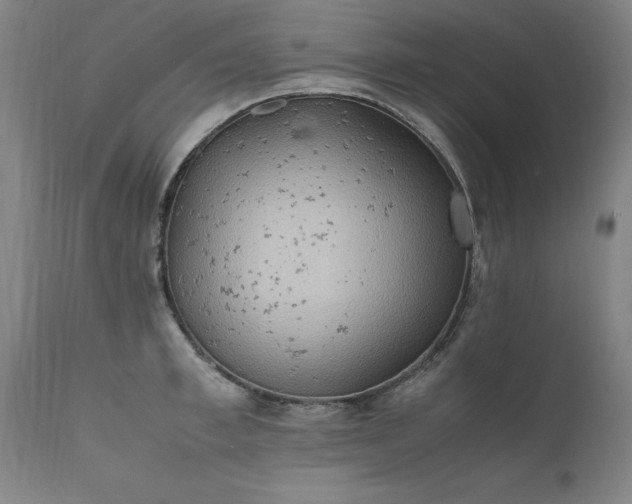 X0000111390997200907171242