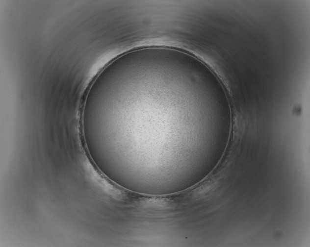 X0000111390998200907171242