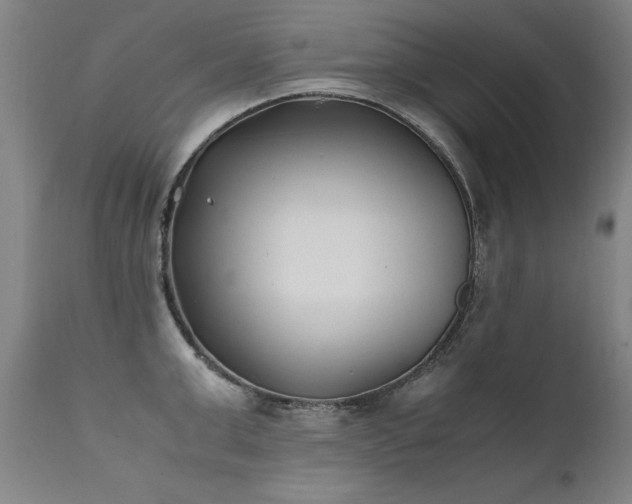 X0000111390999200907171241