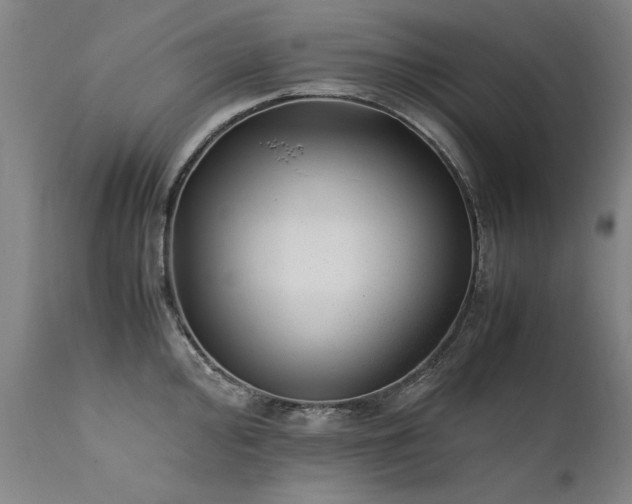 X0000111391000200907171241