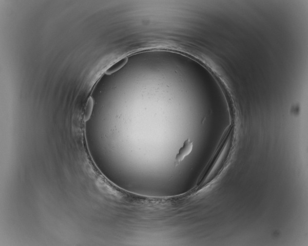 X0000111391001200907171241