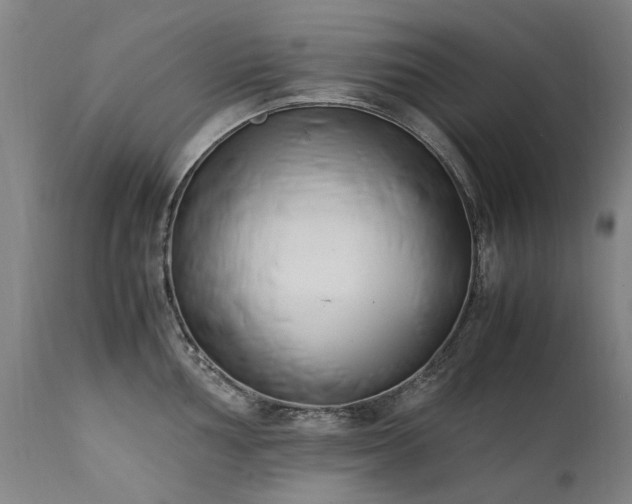 X0000111391002200907171241