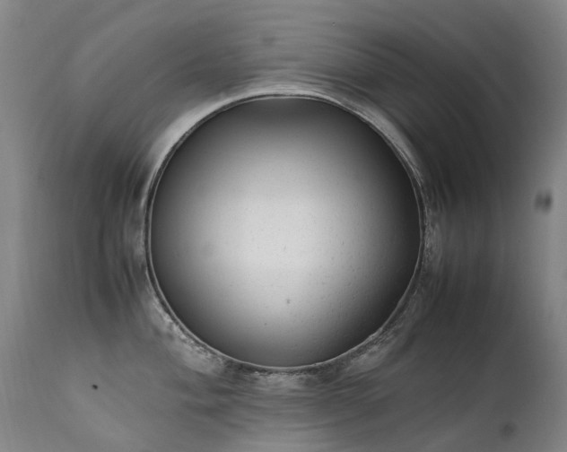 X0000111391004200907171241