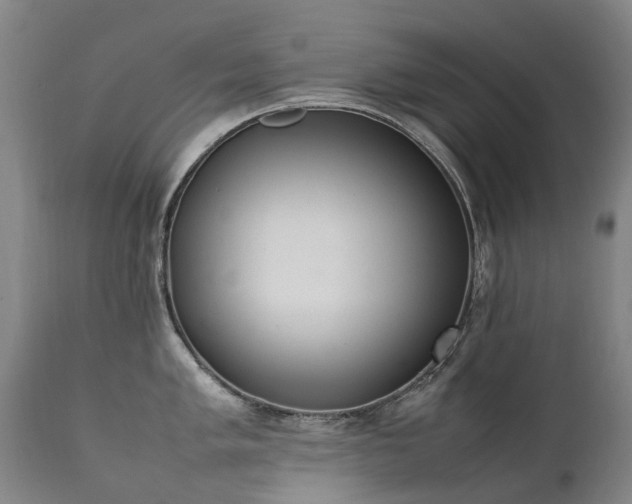 X0000111391005200907171241