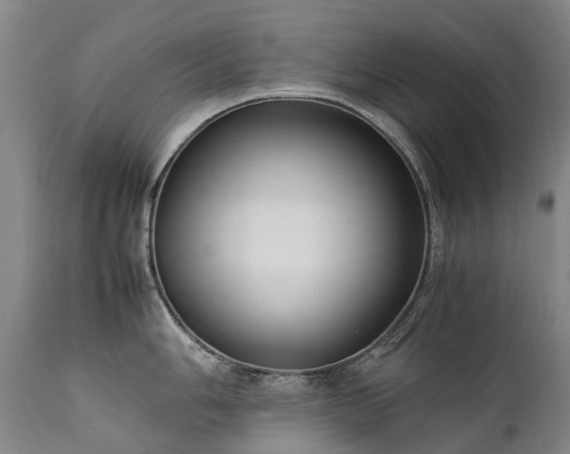 X0000111391006200907171241