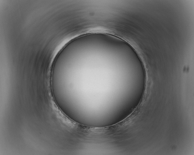 X0000111391008200907171241